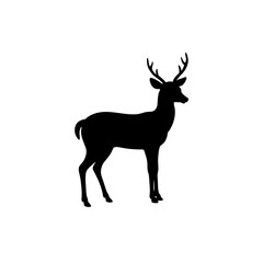 Fototapeta premium Silhouette of a standing deer with antlers on transparent background