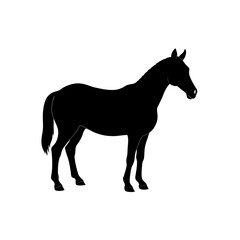 Fototapeta premium Silhouette of a standing horse in black on transparent background