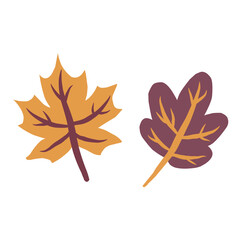 Autumn maple leaves flat illustration isolated