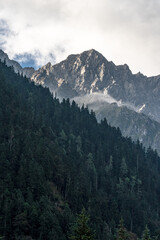 Aerial View of a Majestic Snow-Capped Peak Piercing the Sea of Clouds over the High Plateau​