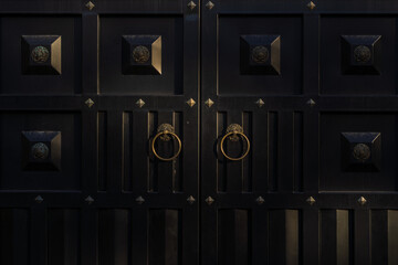 Fototapeta premium Black hard convex door expensive finish