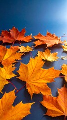 Fototapeta premium Autumn leaves on dark background