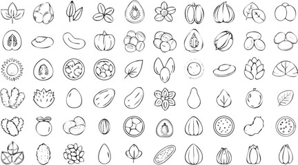 Collection of sketched fruits, vegetables, nuts, and seeds in black and white outline style drawing
