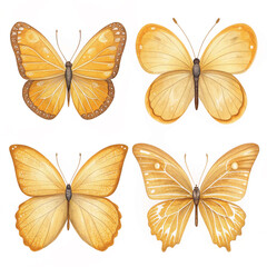 set of beautiful butterfly