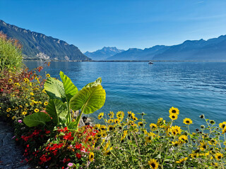 Flower beds along the shore of Lake Geneva in the city of Montreux. Calm sunny natural and urban scenery. Switzerland, Europe.
