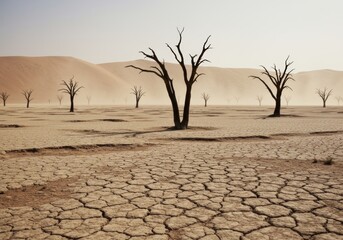 A stark and desolate desert landscape where the cracked earth is littered with the silhouettes of bare, dead trees. The scene, stretching towards massive sand dunes in the distance under a hazy sky, i