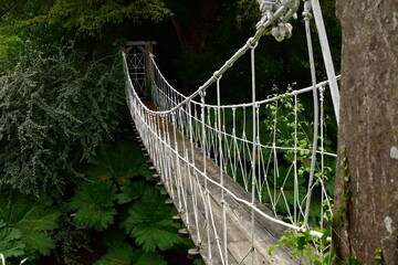the beautiful sky bridge