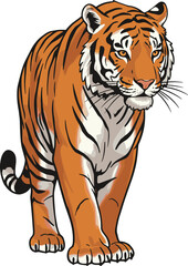 Tiger walking forward, majestic wild animal, orange fur, black stripes, white face, jungle predator, fierce expression, wildlife illustration, nature art, isolated background