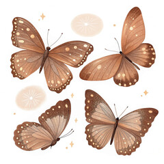 set of beautiful butterfly