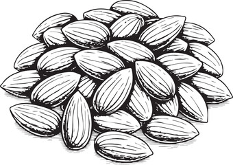 hand drawn vector illustration of nuts