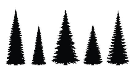 Fototapeta premium A collection of black silhouettes of evergreen coniferous trees of various sizes.