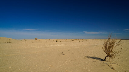 Il deserto del Sahara nella regione di Tezeur, area di Ong Jmal. Tunisia, Nord Africa
