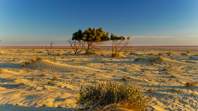 Il deserto del Sahara nella regione di Tezeur, area di Ong Jmal. Tunisia, Nord Africa