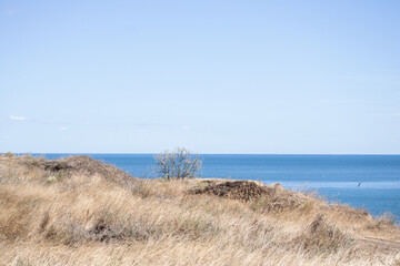 sand dunes and grass on beach