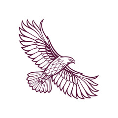Flying hawk vector illustration symbol of freedom courage and wild strength
