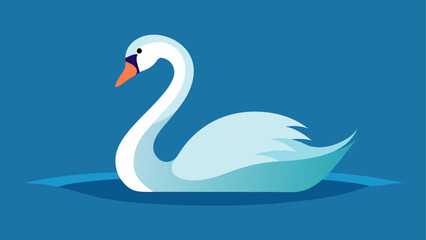 Fototapeta premium Elegant swan swimming in blue water pond