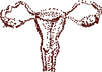 Female reproductive system uterus dot drawing