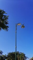 street lamp in the city