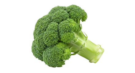 Fresh green broccoli isolated, healthy vegetable for cooking and vegetarian diet PNG