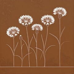 White flowers on a brown background