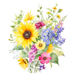 sunflowers on white background