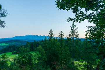 A scenic view of green meadows and dense forests with a mountain range in the distance. Soft evening light enhances the calm atmosphere of this rural natural landscape.