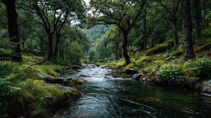 Obraz premium Serene flowing river surrounded by lush green trees and moss-covered rocks in a peaceful forest landscape with vibrant foliage and natural wilderness scene
