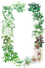 Rectangular Houseplant Frame Border