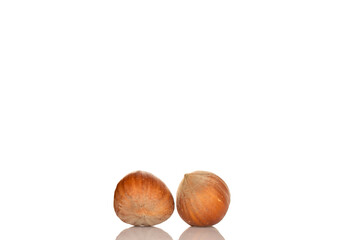 Unpeeled hazelnut, macro, isolated on white background.