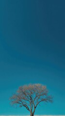 Lone tree with bare branches against a vibrant blue sky and horizon