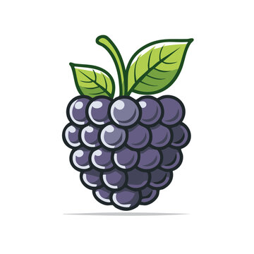 Fresh Blackberry Fruit Graphic with Leaves and Outline Isolated