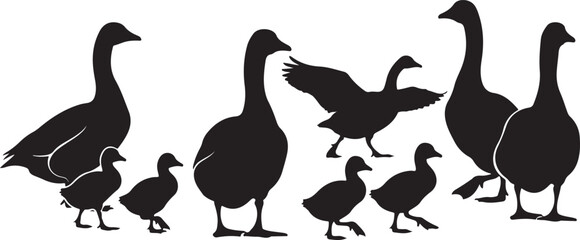 Silhouette family of geese and goslings walking together in a group nature scene
