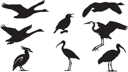 Fototapeta premium Diverse silhouettes of birds in flight and perched capturing nature's graceful avian forms