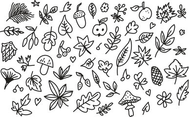 Hand drawn doodle leaves nature icons sketch collection vector set
