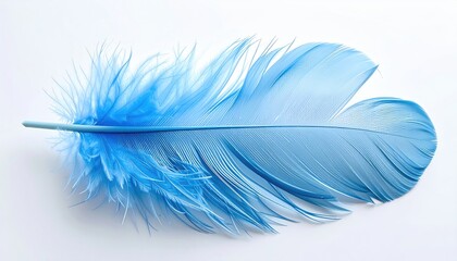 Single blue feather on white. Softness conveys tranquility; ethereal background