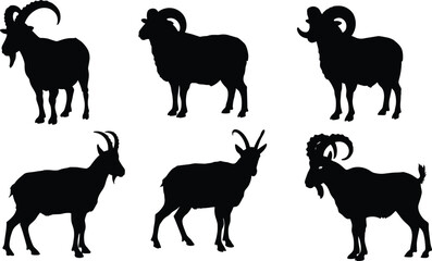 Goat and ram silhouettes collection, horned animal poses, black and white vector illustration, farm livestock design, wildlife zoology artwork, cad drawing flat vector illustration