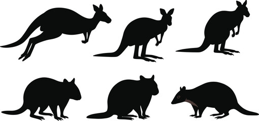 Silhouettes of kangaroo wallaby marsupial animals, wildlife illustration, Australian fauna collection, animal diversity, educational nature graphic, cad drawing flat vector illustration