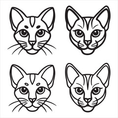 Fototapeta premium The Smallest Dainty Singapura Cat, an Active Pesky cat Breed with Unique Sepia tone Ticked tabby Fur and Large eyes