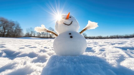 Fototapeta premium Happy snowman winter snow sunny day