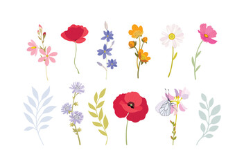 Summer meadow flowers. Poppy flowers. Pink, red, blue, green colors. Flower illustrations, summer field, butterflies. Herbal decoration, romantic wildflowers, kitchen towel, tablecloth, dress for girl