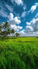 Fototapeta premium Lush green field with palm trees under a blue sky with fluffy white clouds