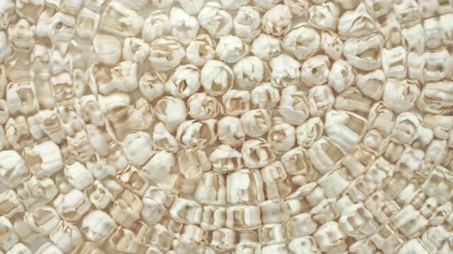 Water drops fall on the water surface, creating ripples. There are large patches of white jasmine flowers underwater.
