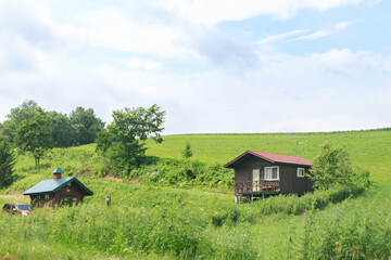 Hillside Haven: Colorful Countryside Homes Nestled in Lush Greenery