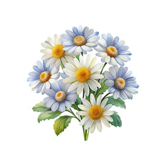 Fototapeta premium Beautiful bunch of white and blue daisies with yellow centers illustration