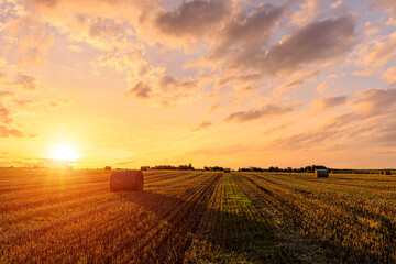 Hay bales in an agricultural field during sunset. Rural landscape with golden light over harvest. Farming and seasonal harvest. © Eugene_Photo