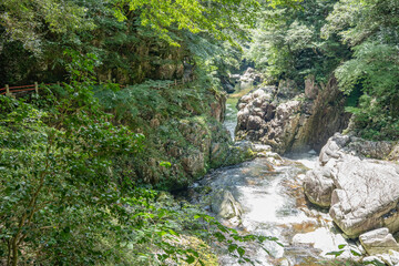 夏の三段峡 広島県安芸太田町