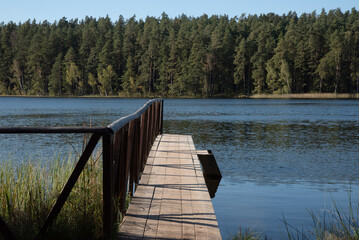 Obraz premium A wooden pier with railings extending into a calm lake, surrounded by a dense green forest under a clear blue sky.