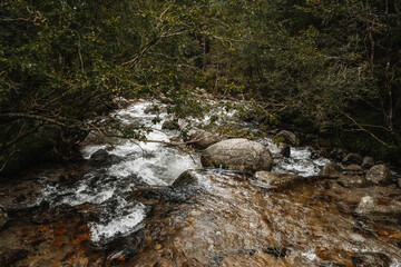 Scenic mountain stream flowing through rocky forest landscape