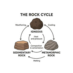 Rock Cycle Diagram Vector – Igneous, Sedimentary, Metamorphic Rocks Infographic. Perfect for geology education, earth science infographics, classroom posters, and textbooks