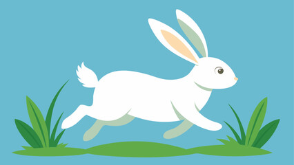 A white rabbit running through green grass